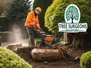 stump removal service